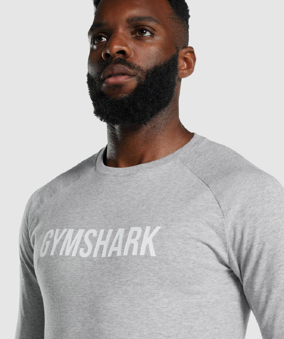 Gymshark Apollo Muške Dugi Rukav Svijetlo Sive | HR 2664ILH